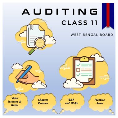 Audit – Class 11